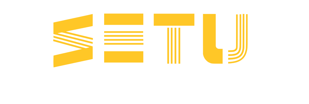 Business Setu Logo